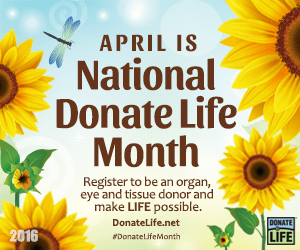 NDLM-2016_Web_300x250_with-url